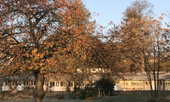 IMG_7957