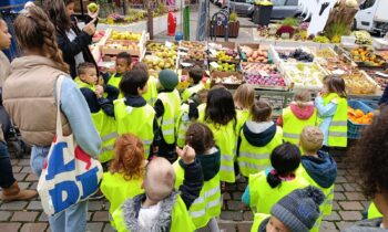 WhatsApp Image 2025-11-04 à 14.35.04_14dc00fc